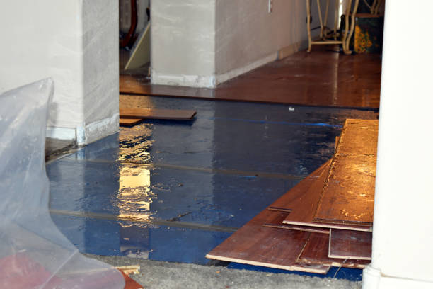 Professional Water Extraction technician working in Idlewild, MI